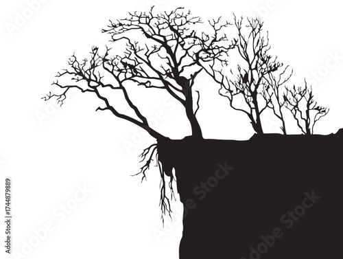 Stylized Illustration of a Cliff Face With Trees and Roots