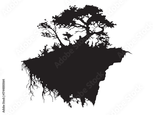 Photos Dramatic Cliffside With Tenacious Trees and Roots Silhouette