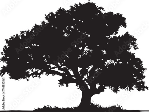 Majestic Silhouette of a Lone Oak Tree Perched on a Rocky Cliff