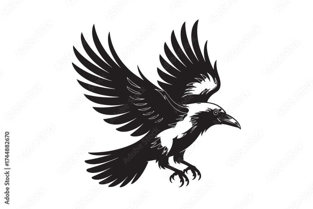 Obraz premium Raven with wings spread isolated on white background, ready to fly away