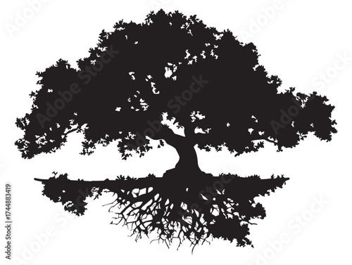 Scenic Silhouette of a Coastal Landscape Featuring Trees and Roots