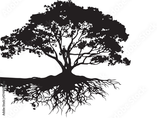 Dynamic Coastal Landscape with Windswept Trees and Visible Roots