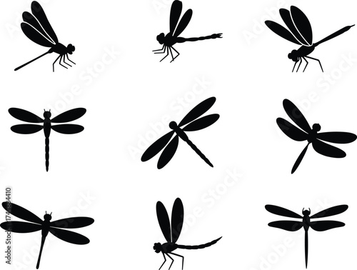 Dragonfly silhouette vector illustration, insect poses and species variation, nature icon set, cad drawing flat vector illustration, minimal black design