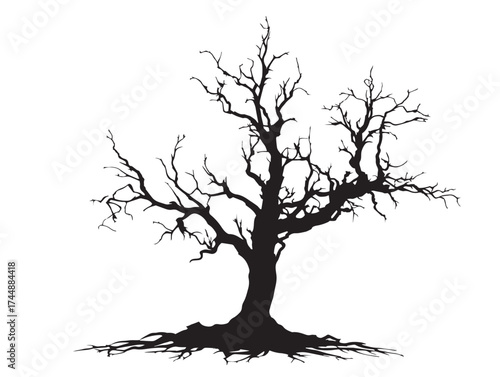 Eerie Silhouette of a Creepy Dead Tree with Gnarled and Twisted Roots