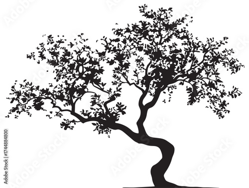 Nature Inspired Art of a Curved Branch Tree Against a Solid Background