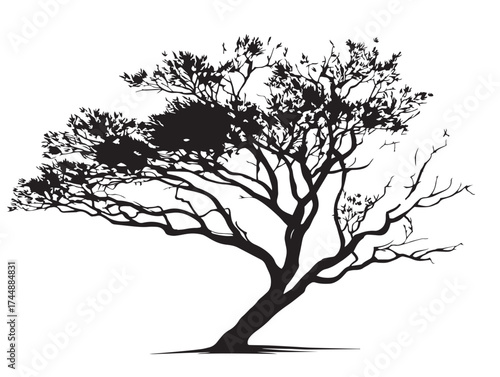 Artistic Vector Illustration of a Tree with Beautifully Curved Branches