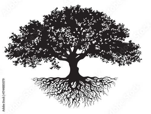 Romantic Illustration of a Curved Cherry Tree in Solid Black