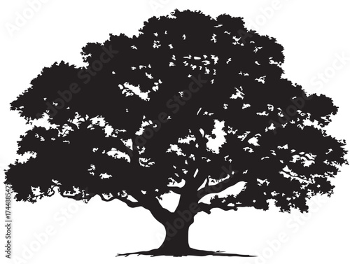 Dark and Mysterious Elm Tree Silhouette in a Solid Black Color