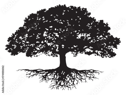 Powerful Silhouette of a Dark Oak Tree with a Strong Root System