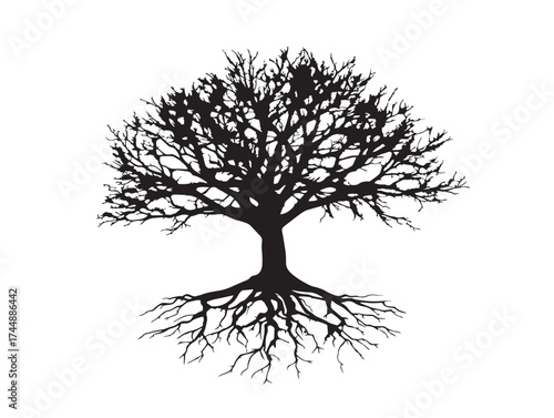 Ominous Silhouette of a Dark Tree with a Sprawling Network of Roots