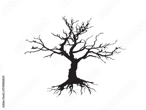 Desolate Silhouette of a Dead Tree with a Complex Web of Roots