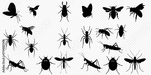 A diverse collection of black insect silhouettes, including common bugs like ants, bees, and spiders, on a transparent background.
