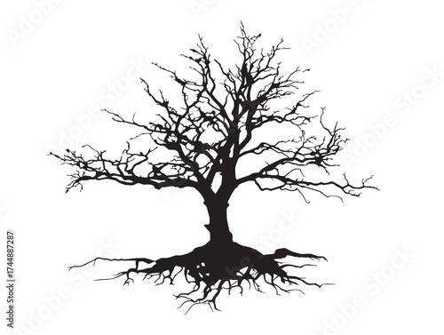 Desolate Landscape Featuring a Dead Tree with a Tangled Root Base