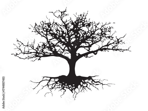 Eerie Vector Illustration of a Dead Tree with a Messy Root System