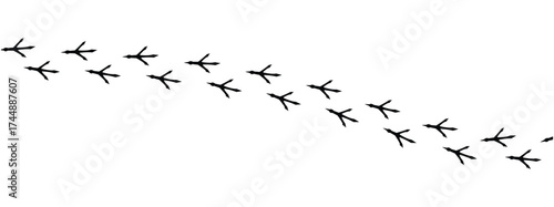 Сhicken trail, bird tracks footprints, path isolated, paw print, animal tracks. Paws, chicken tracks, diagonal path of chicken tracks, vector black silhouettes. Scatter seamless pattern in eps 10.