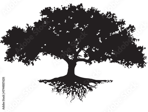 Lush Dense Tree With Extensive Root System As Vector Illustration