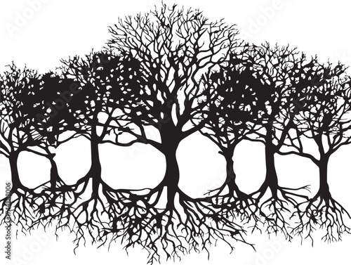 Dense Forest Trees With Intertwined Roots In Solid Silhouette