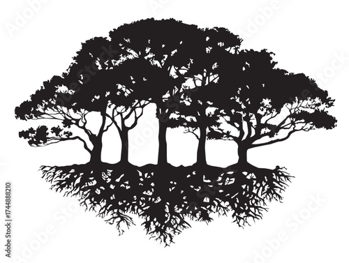Dense Trees And Roots In A Cohesive Black Silhouette Illustration
