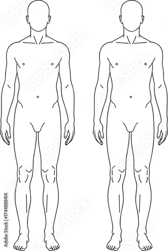 Male anatomy silhouette vector illustration, human body proportion study, medical icon design, cad drawing flat vector illustration, minimal black artwork