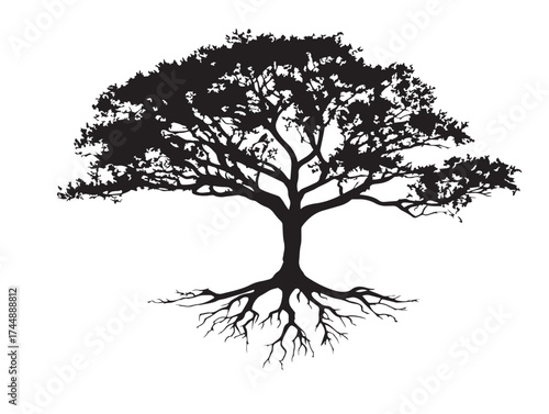 Scenic Desert Landscape Tree With Visible Root System