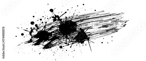 Vector Black Ink Splash and Smudge Texture on White Canvas