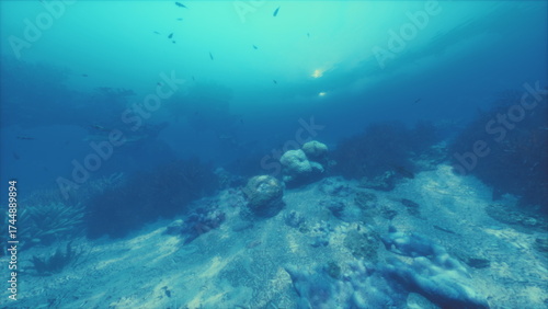 Wallpaper Mural A serene underwater scene reveals a diverse marine ecosystem with colorful coral formations and various fish swimming gracefully in the soft light filtering from above. Torontodigital.ca