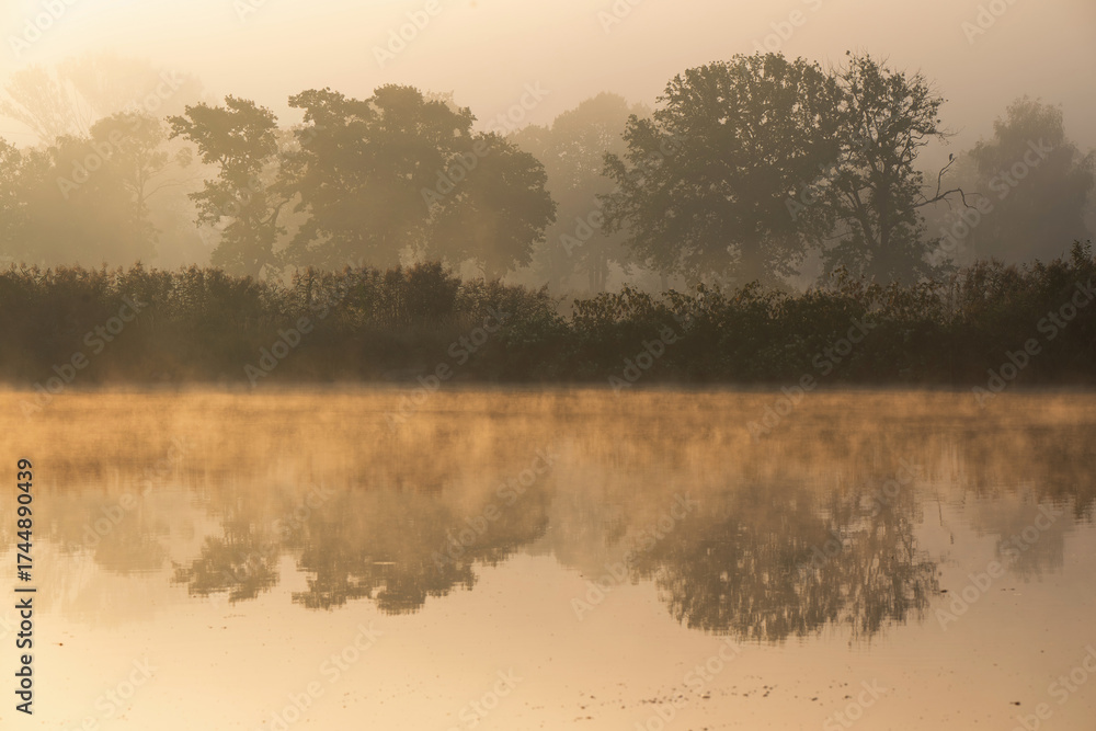 Fototapeta premium Mglisty poranek nad wodą jesienią.