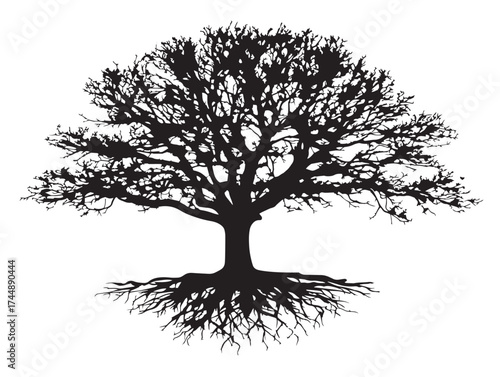 Unique Double Tree With Intertwined Roots Silhouette