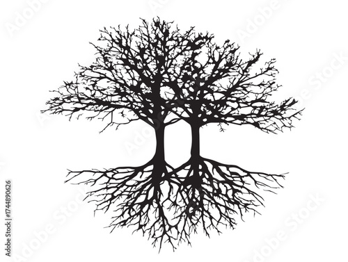 Elegant Double Tree Silhouette With Shared Root Base