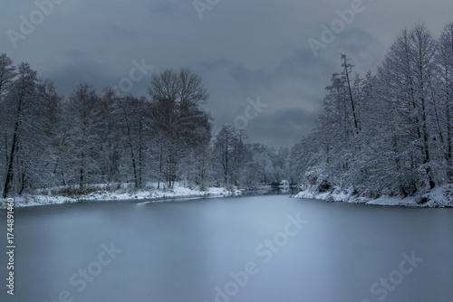 Frozen lake and snow-covered trees under blue winter light