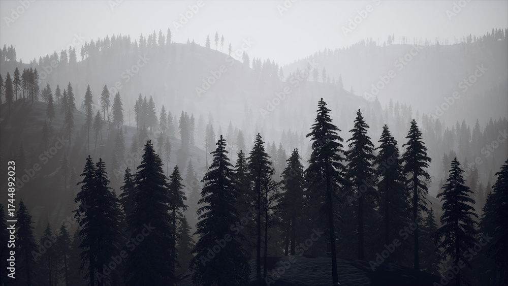 Fototapeta premium Dense trees stand tall against a hazy backdrop of rolling mountains, enveloped in soft mist. The atmosphere feels serene and tranquil, perfect for reflection and nature appreciation.