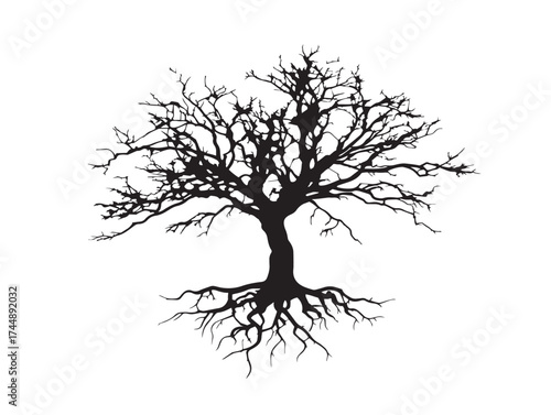 Parched Dry Tree With Strong Roots In Vector Format