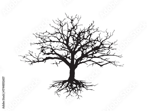Majestic Dry Tree With Intricate Root System Solid Black Silhouette