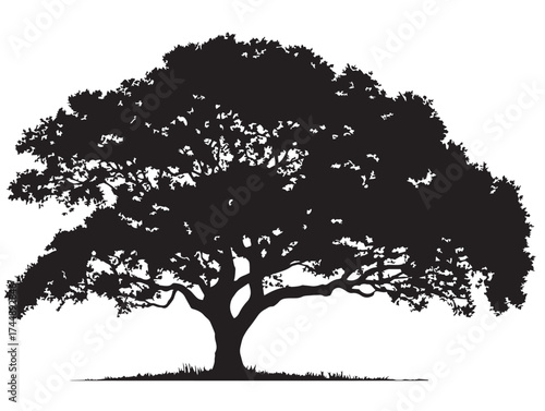 Serene Elm Tree Silhouette Vector Art For Nature Themed Projects