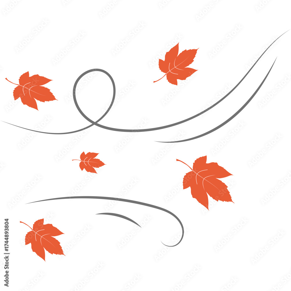 Fototapeta premium Autumn Leaves Blowing
