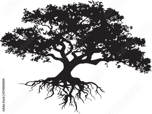 Tropical Tree With Sprawling Roots And Lush Canopy Silhouette