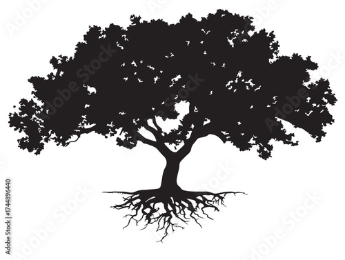 Stunning Exotic Tree With Roots Isolated For Travel Themed Design