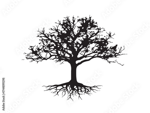 Atmospheric Foggy Tree Silhouette For A Spooky Or Moody Design