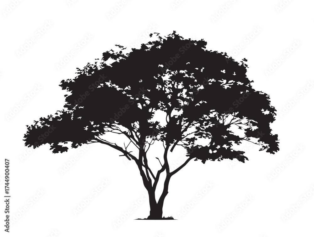 Obraz premium Beautiful Maple Tree Silhouette With Iconic Leaves Vector Art