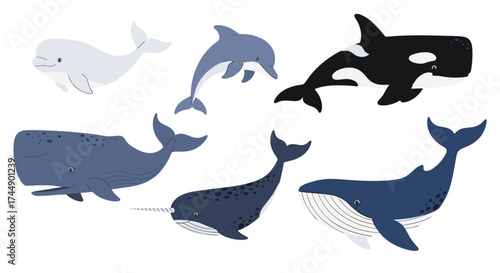 A variety of marine mammals swim in the ocean together.