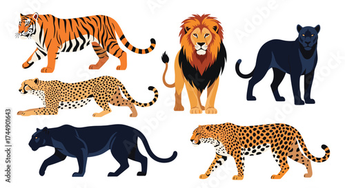 A vibrant collection of wild big cats including lions tigers leopards and panthers.
