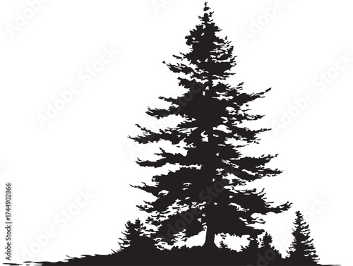 Forest Pine Tree With Conical Shape And Needles Black Silhouette