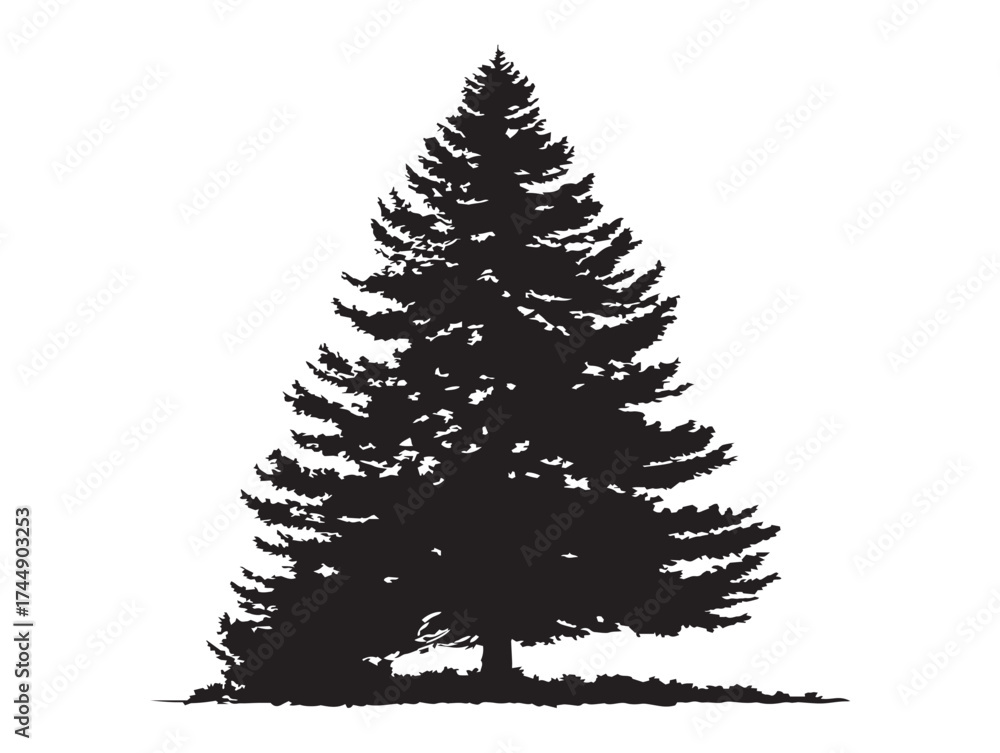Fototapeta premium Beautiful Pine Tree Isolated For Winter Or Christmas Themes
