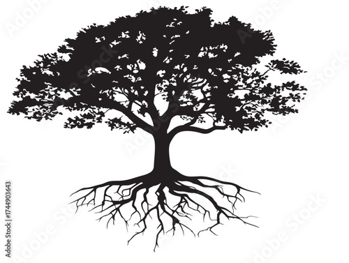Dense Forest Tree Silhouette With Visible Roots For Nature Logos