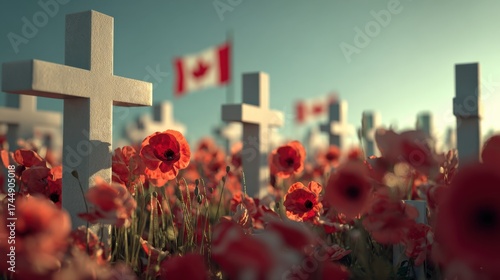 Tribute to Remembrance Day with poppy flowers and Canadian flags