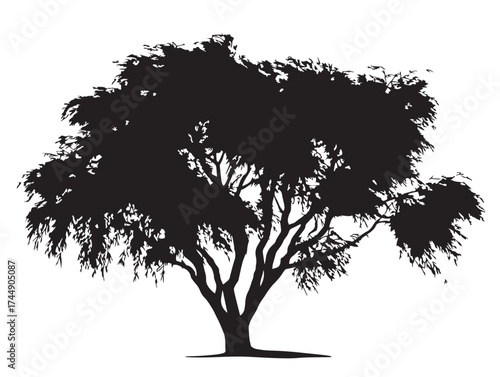 Elegant Forest Willow Tree With Visible Roots Vector Illustration