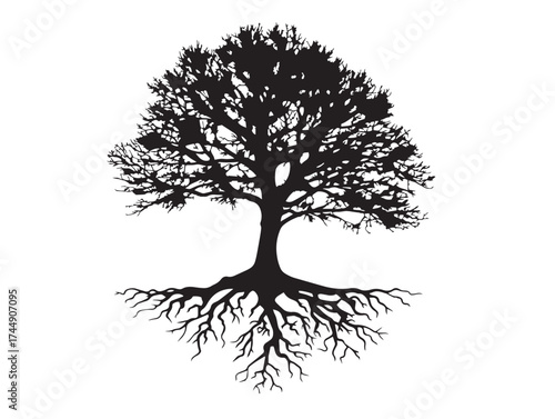 Icy Frosted Tree With Roots Isolated On A White Background