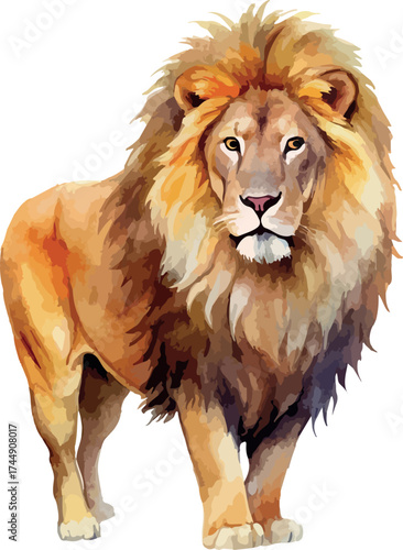 African Lion Animal Classic Watercolor Vector Illustration