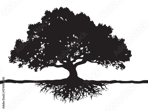 Giant Tree With Enormous Roots And Towering Trunk Silhouette