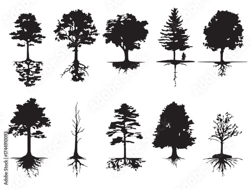 Lush Group Of Trees With Visible Roots Silhouette